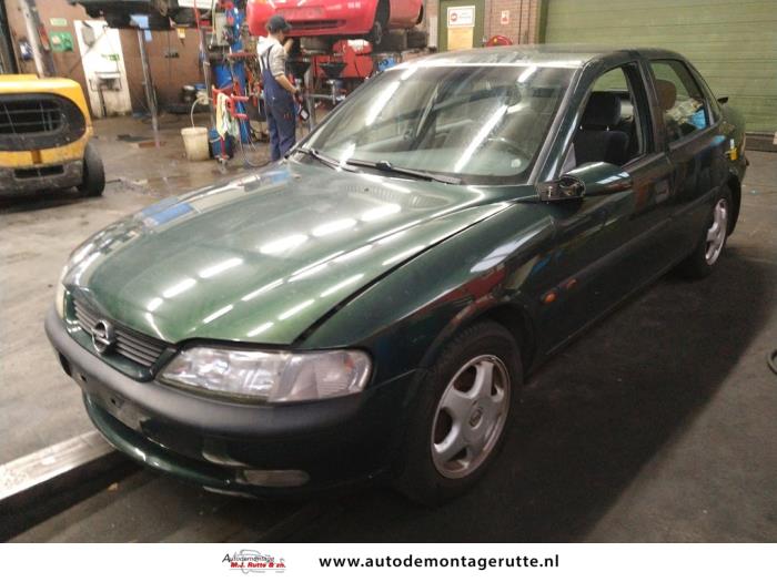 Opel Vectra (V108644)