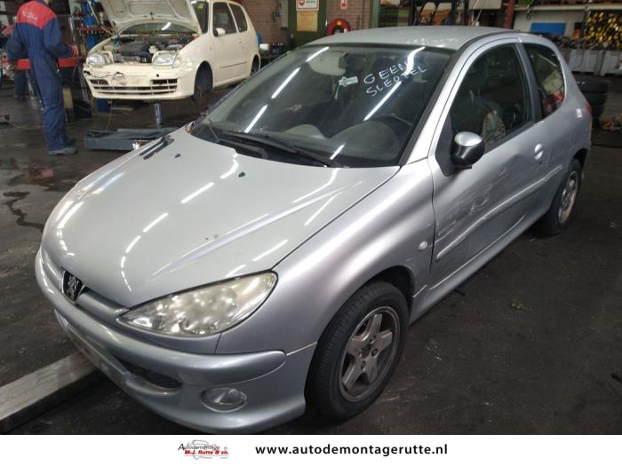 Peugeot 206 (V108655)