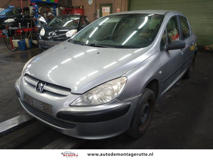 Peugeot 307 (V108767)