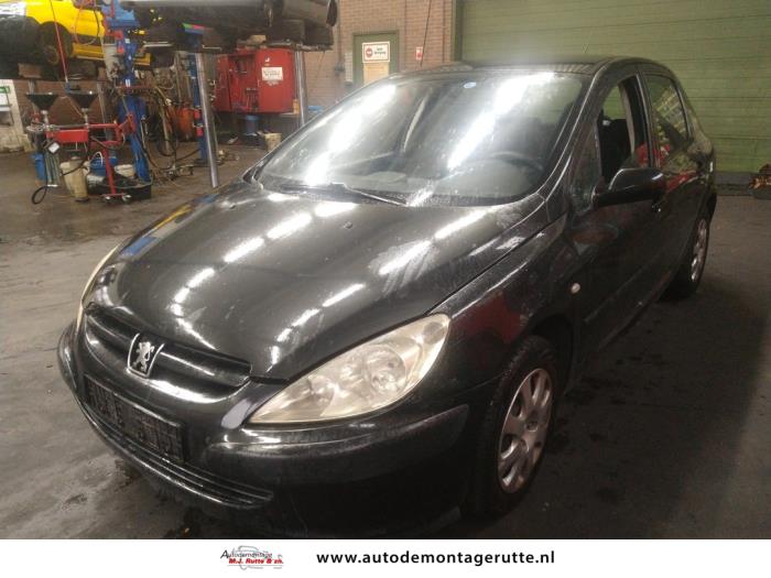 Peugeot 307 (V108781)