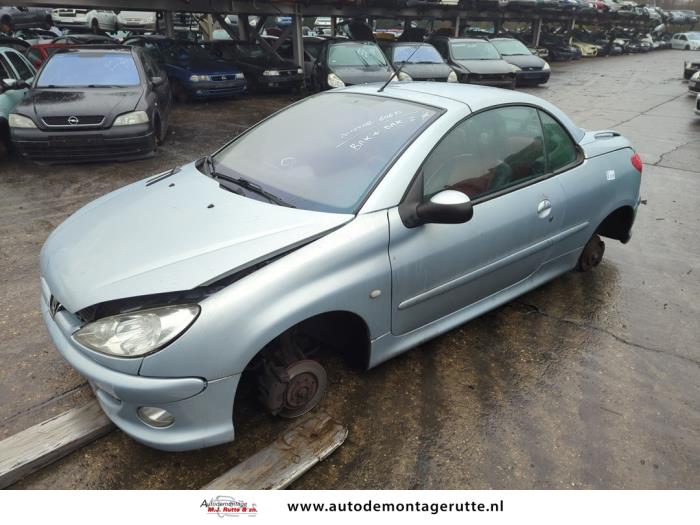 Peugeot 206 (V108954)