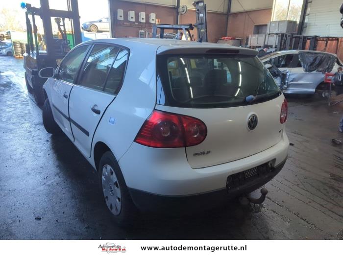 Volkswagen Golf V 1.6 Sloopvoertuig (2006, Wit)