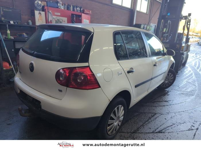 Volkswagen Golf V 1.6 Sloopvoertuig (2006, Wit)