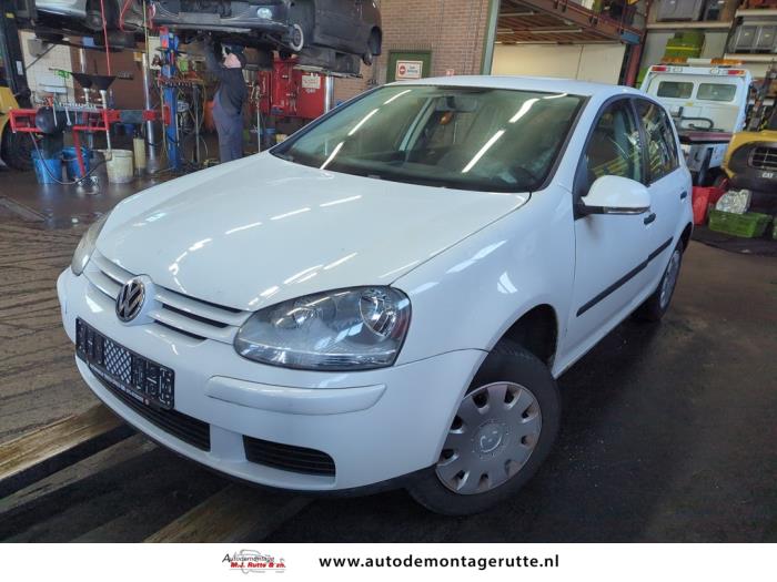 Volkswagen Golf V 1.6 Sloopvoertuig (2006, Wit)