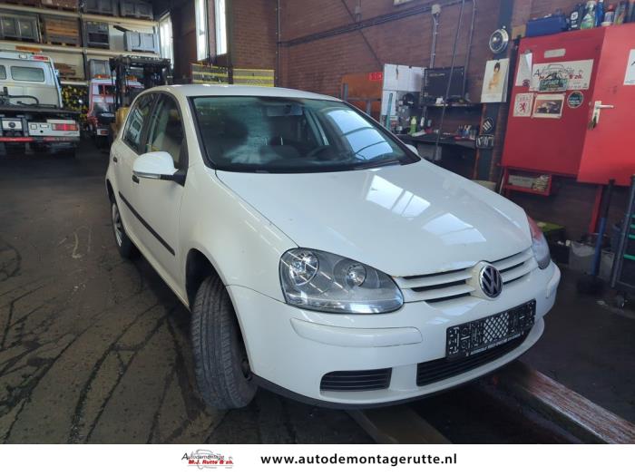 Volkswagen Golf V 1.6 Sloopvoertuig (2006, Wit)