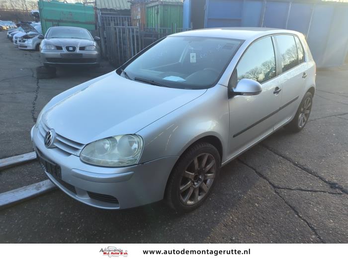 Volkswagen Golf V 1.6 FSI 16V Sloopvoertuig (2006, Grijs)