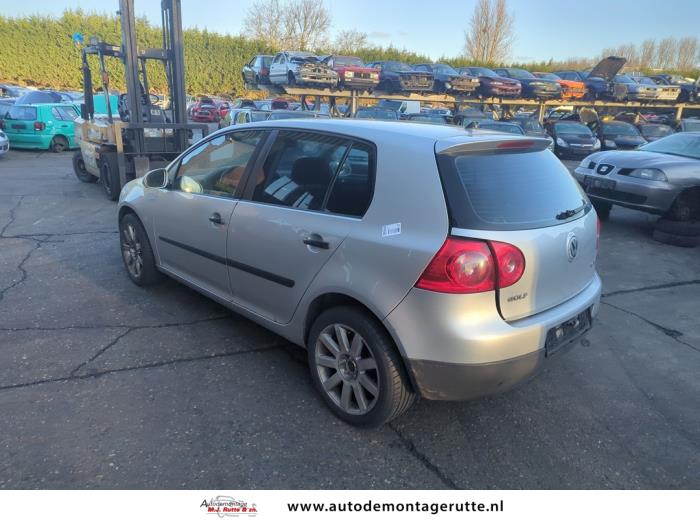Volkswagen Golf V 1.6 FSI 16V Sloopvoertuig (2006, Grijs)