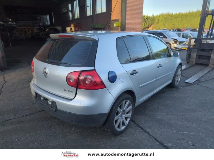 Volkswagen Golf V 1.6 FSI 16V Sloopvoertuig (2006, Grijs)