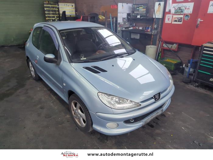 Peugeot 206 1.4 16V Sloopvoertuig (2004, Grijs)