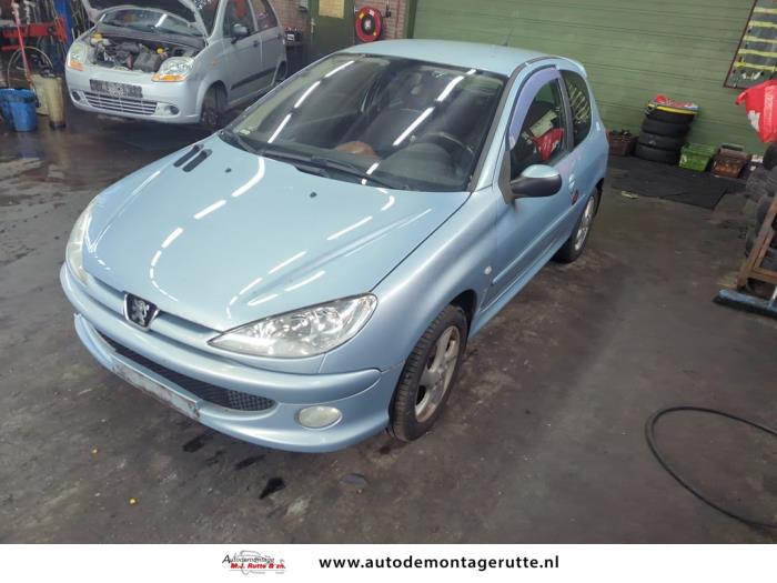 Peugeot 206 1.4 16V Sloopvoertuig (2004, Grijs)