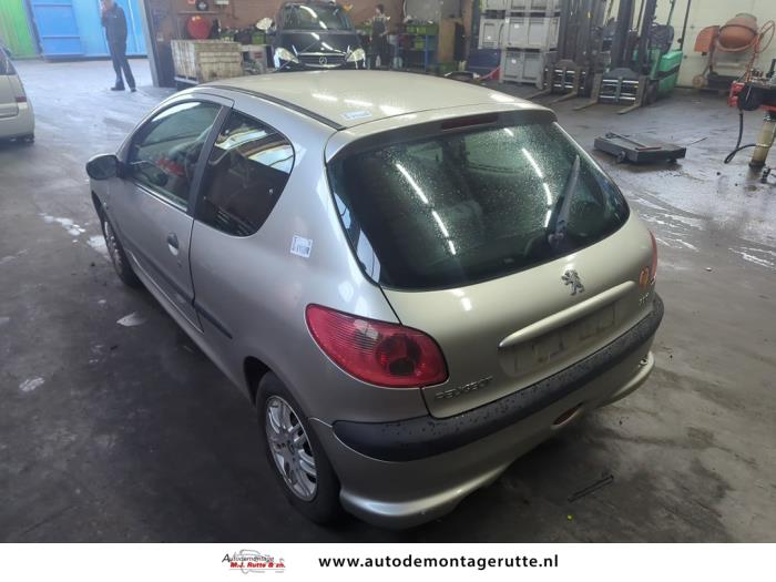 Peugeot 206 1.4 XR,XS,XT,Gentry Sloopvoertuig (2004, Grijs)