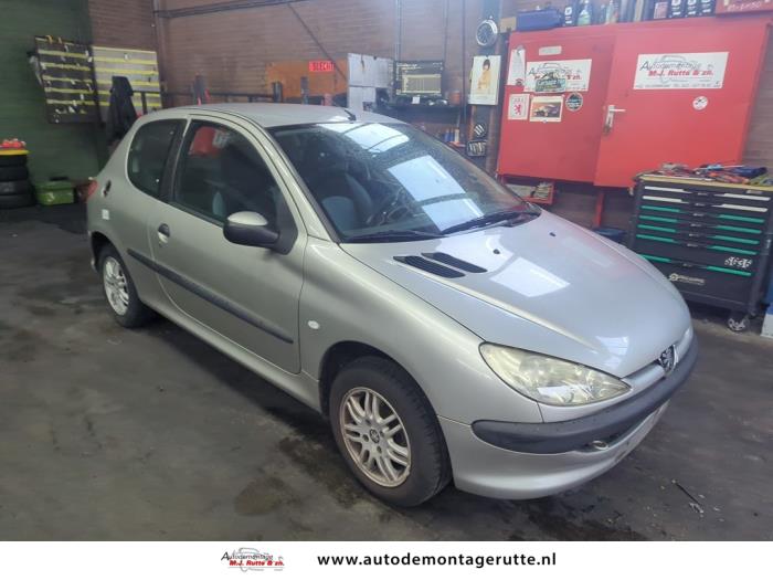 Peugeot 206 1.4 XR,XS,XT,Gentry Sloopvoertuig (2004, Grijs)