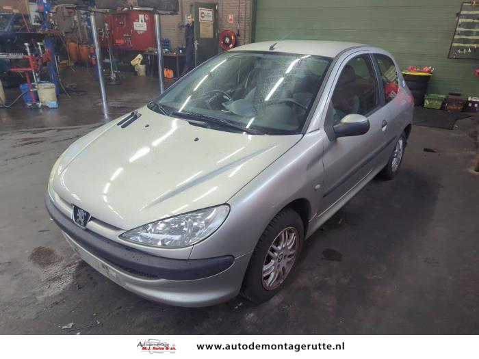 Peugeot 206 1.4 XR,XS,XT,Gentry Sloopvoertuig (2004, Grijs)