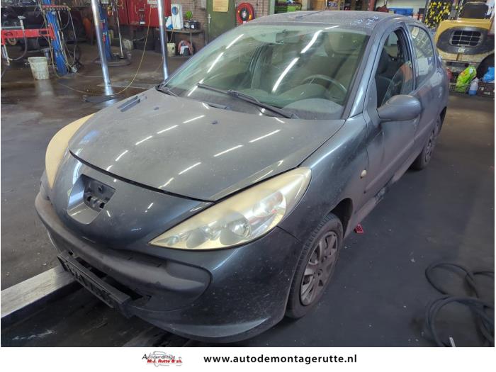 Peugeot 206+ 1.1 XR,XS  (Sloop)
