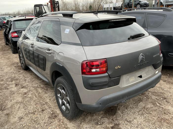 Citroen C4 Cactus 1.2 PureTech 82 12V Sloopvoertuig (2017)