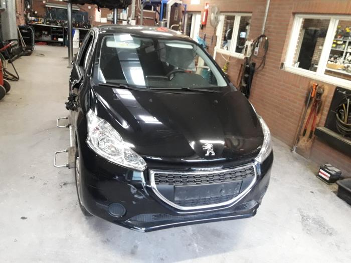 Foto donor auto