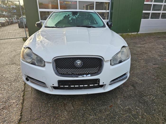Jaguar XF 2.7 D V6 24V Sloopvoertuig (2008, Wit)