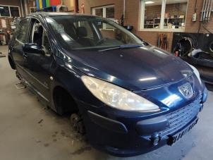 Peugeot 307 1.6 16V Sloopvoertuig (2007, Blauw)