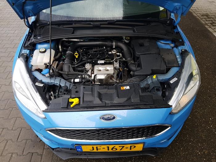 Ford Focus 3 1.0 Ti-VCT EcoBoost 12V 100 Sloopvoertuig (2016, Blauw)