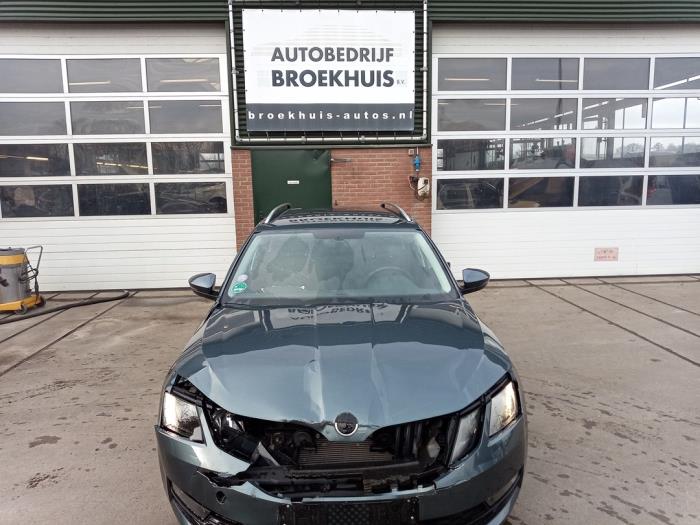 Skoda Octavia Combi 1.5 TSI Evo 16V Sloopvoertuig (2020, Grijs)