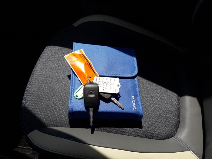 Dacia Spring 45 Sloopvoertuig (2022, Zwart)