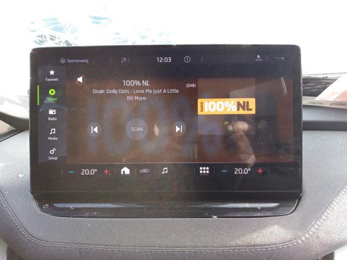 Skoda Enyaq iV 80 Sloopvoertuig (2021, Grijs)