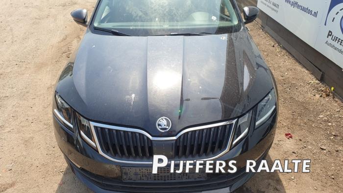 Skoda Octavia Combi 1.6 TDI 16V Sloopvoertuig (2019, Zwart)