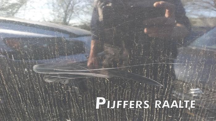 Renault Megane III Grandtour 1.4 16V TCe 130 Sloopvoertuig (2011, Zwart)