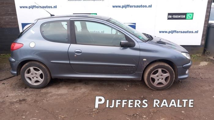 Peugeot 206 1.4 XR,XS,XT,Gentry Sloopvoertuig (2007, Grijs)