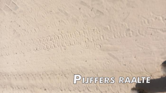 Citroen C2 1.1 Sloopvoertuig (2005, Grijs)