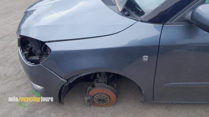 Skoda Fabia II Combi 1.2 TDI 12V Greenline Sloopvoertuig (2010, Grijs)