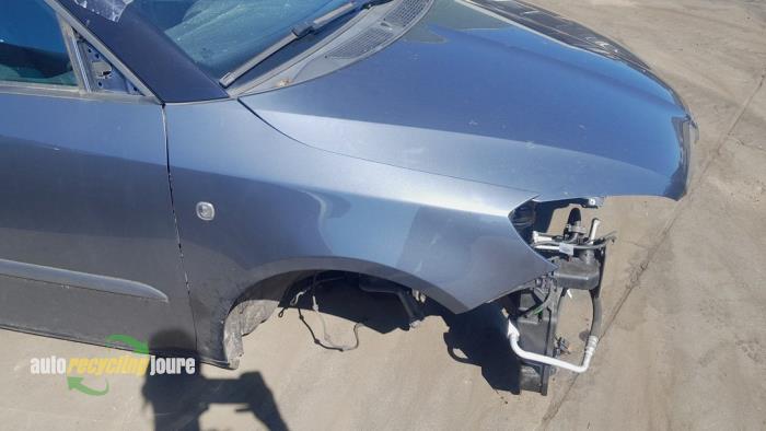 Skoda Fabia II Combi 1.2 TDI 12V Greenline Sloopvoertuig (2010, Grijs)