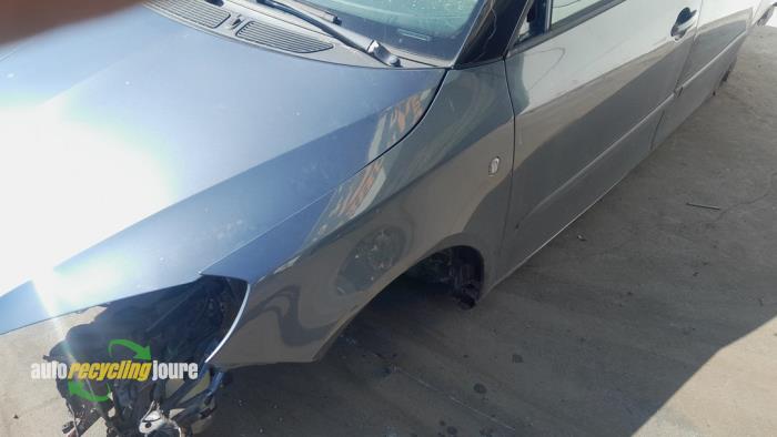 Skoda Fabia II Combi 1.2 TDI 12V Greenline Sloopvoertuig (2010, Grijs)