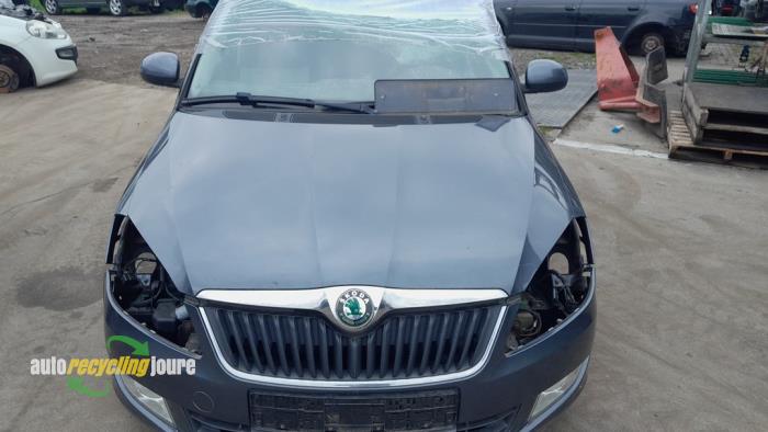 Skoda Fabia II Combi 1.2 TDI 12V Greenline Sloopvoertuig (2010, Grijs)