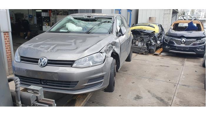 Volkswagen Golf VII 1.2 TSI 16V Sloopvoertuig (2013, Metallic, Grijs)