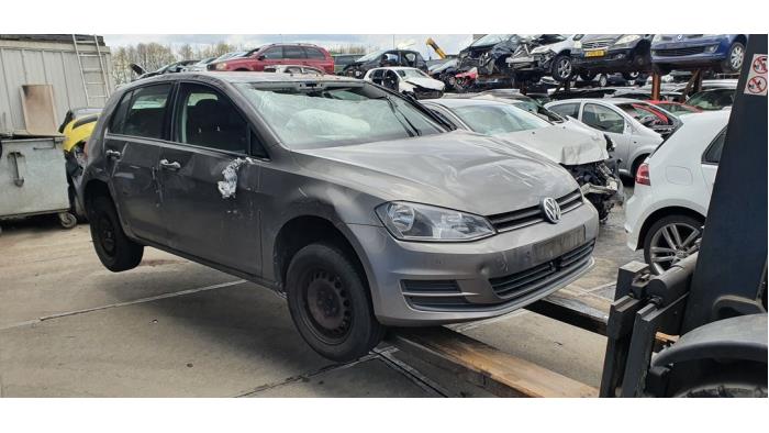Volkswagen Golf VII 1.2 TSI 16V Sloopvoertuig (2013, Metallic, Grijs)