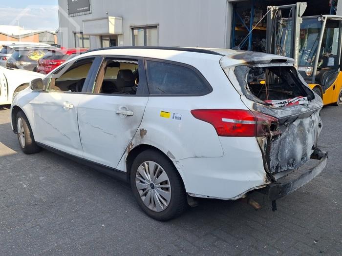 Ford Focus 3 Wagon 1.0 Ti-VCT EcoBoost 12V 100 Sloopvoertuig (2015, Wit)
