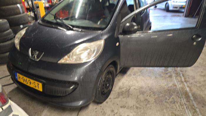 Peugeot 107 1.0 12V Sloopvoertuig (2006, Grijs)
