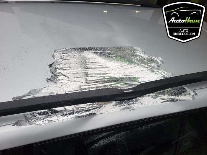 Skoda Fabia III Combi 1.2 TSI 16V Greentech Sloopvoertuig (2017, Grijs)