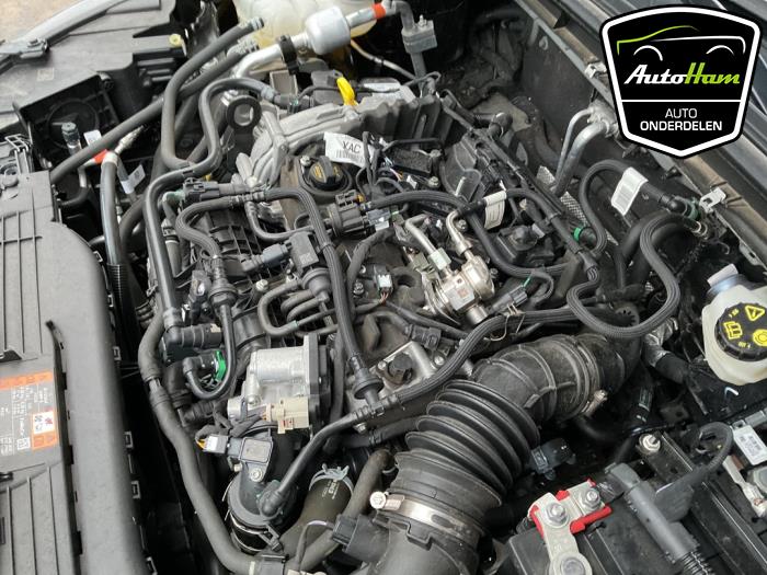 Ford Focus 4 Wagon 1.0 EcoBoost 12V Hybrid 155 Sloopvoertuig (2023, Zwart)