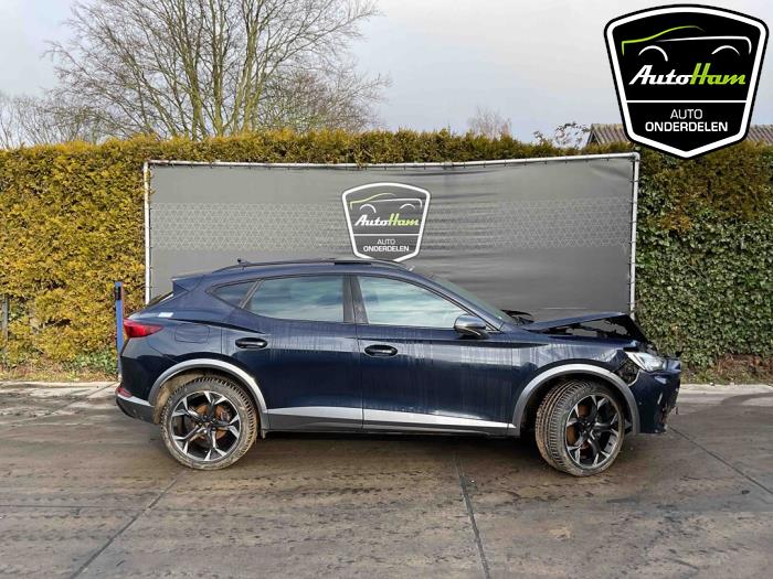 Cupra Formentor 1.5 TSI 16V Sloopvoertuig (2022, Blauw)