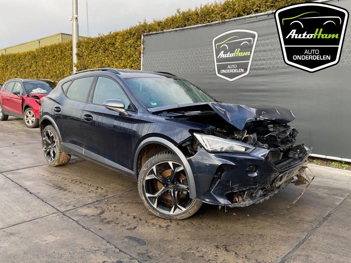 Cupra Formentor 1.5 TSI 16V Sloopvoertuig (2022, Blauw)