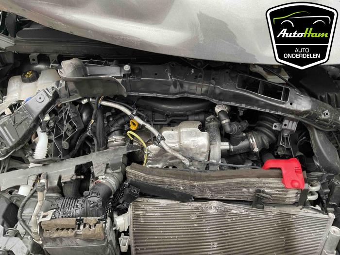 Ford Transit Connect 1.5 EcoBlue Sloopvoertuig (2022, Grijs)