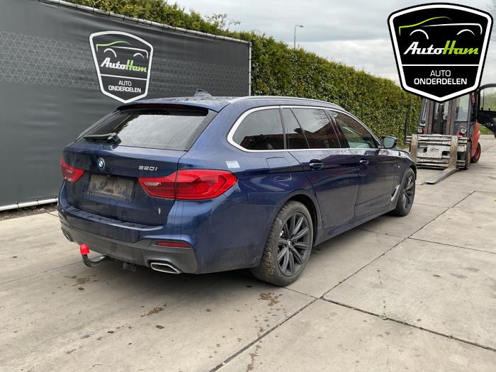 BMW 5 serie Touring 520i 2.0 TwinPower Turbo 16V Sloopvoertuig (2019, Blauw)