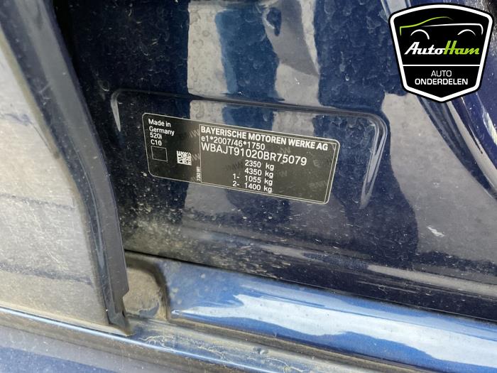 BMW 5 serie Touring 520i 2.0 TwinPower Turbo 16V Sloopvoertuig (2019, Blauw)