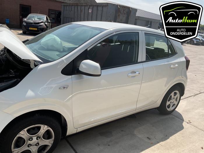 Kia Picanto 1.0 DPI 12V Sloopvoertuig (2024, Wit)