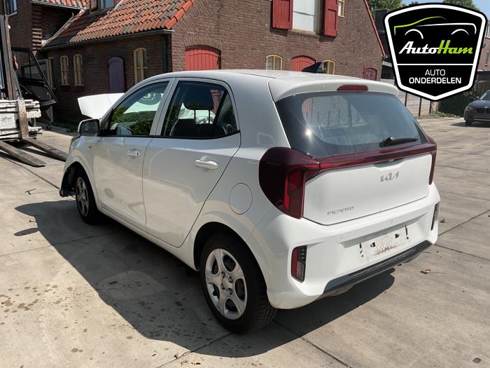 Kia Picanto 1.0 DPI 12V Sloopvoertuig (2024, Wit)