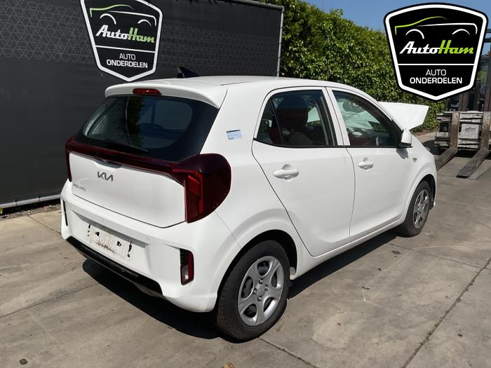 Kia Picanto 1.0 DPI 12V Sloopvoertuig (2024, Wit)