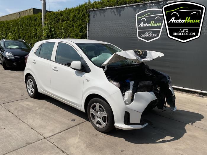 Kia Picanto 1.0 DPI 12V Sloopvoertuig (2024, Wit)