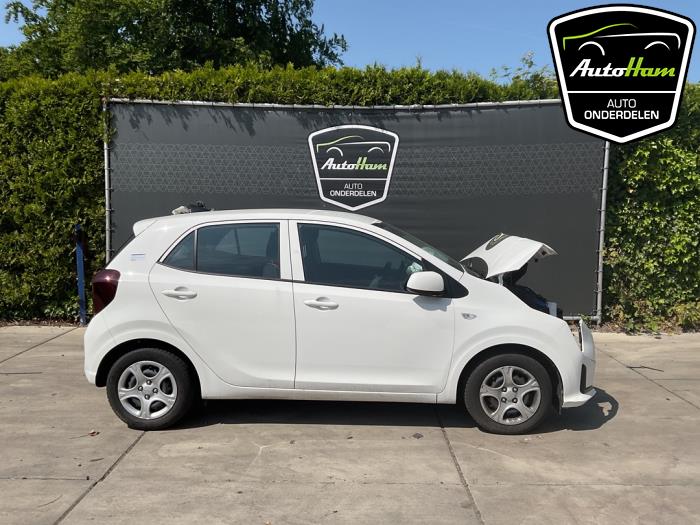 Kia Picanto 1.0 DPI 12V Sloopvoertuig (2024, Wit)
